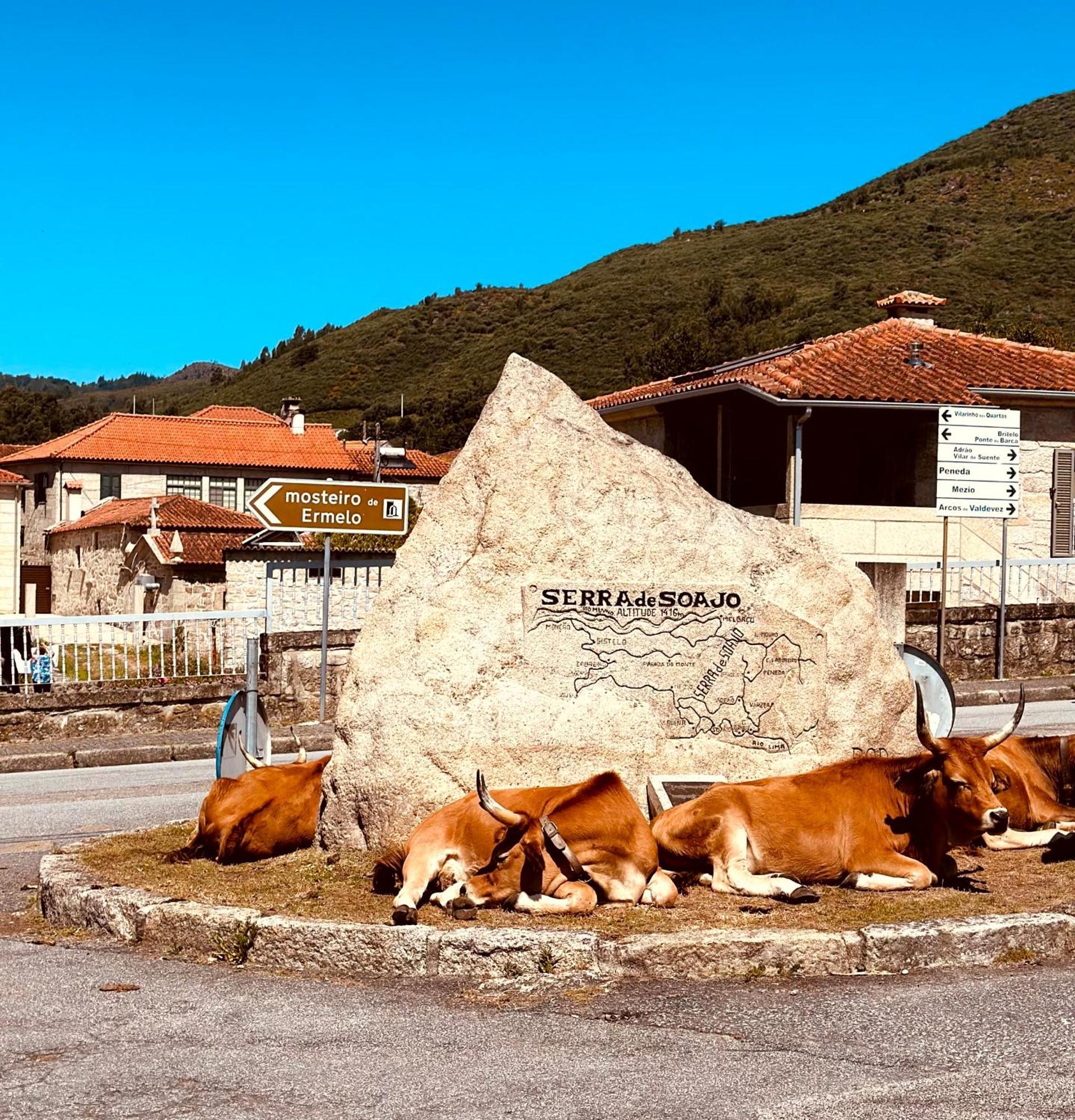Casa da Touça Arcos de Valdevez Exterior foto